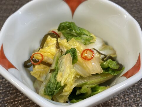 乳酸菌たっぷり簡単白菜漬け